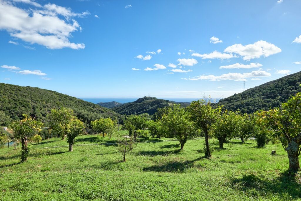 Villa Te koop in Estepona in Spanje, gelegen aan de Costa del Sol-West