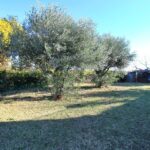 Villa Te koop in Sant Antoni De Calonge in Spanje, gelegen aan de Costa Brava